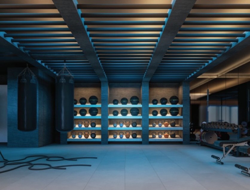 Bamboo Hills Residences combat gym: artist's impression